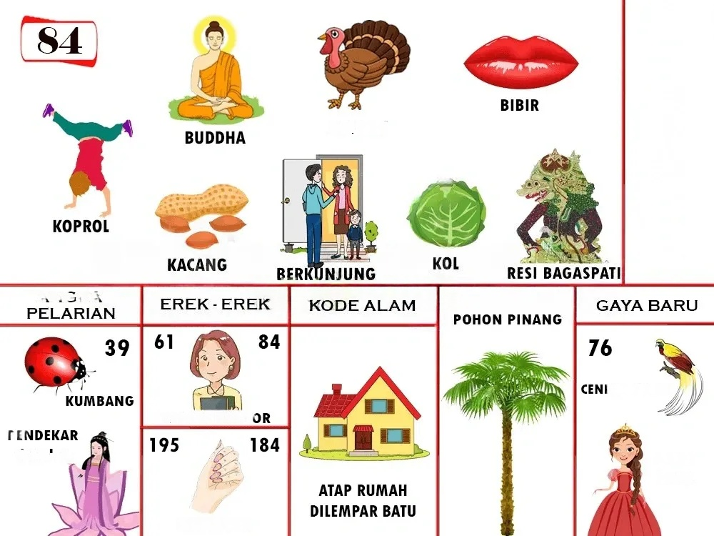 buku mimpi erek erek togel 84
